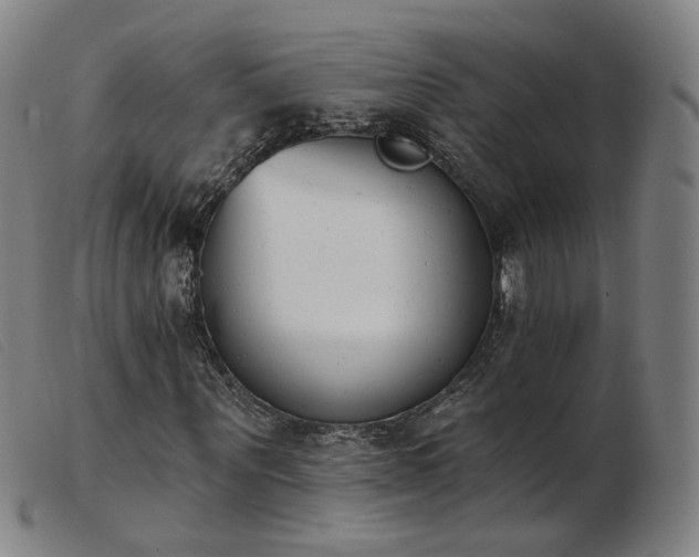 X0000103910867200809191300