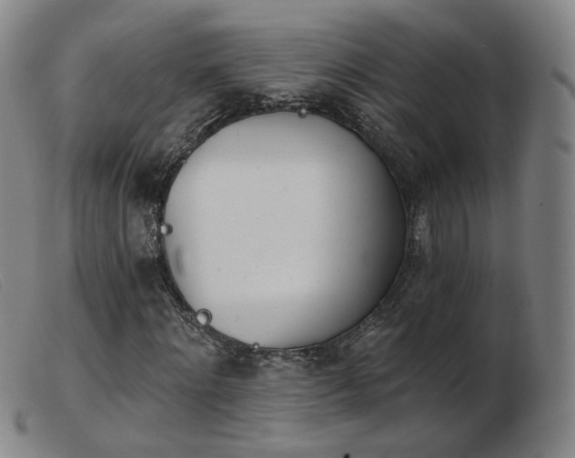 X0000103910868200809191300