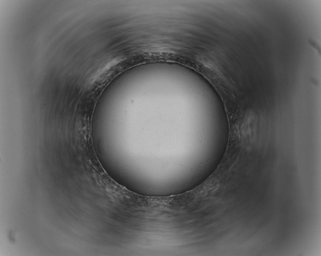X0000103910870200809191300