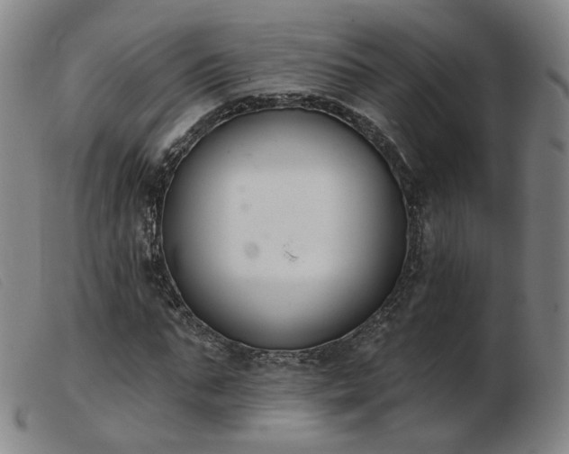 X0000103910871200809191300