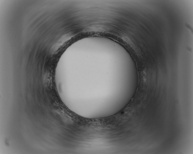 X0000103910872200809191300