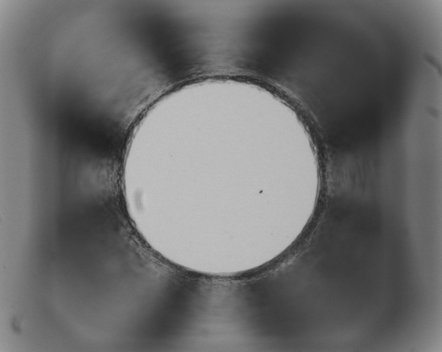 X0000103910873200809191300
