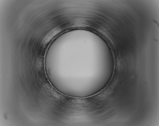 X0000103910874200809191300