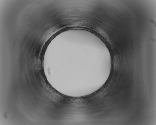 X0000103910876200809191300