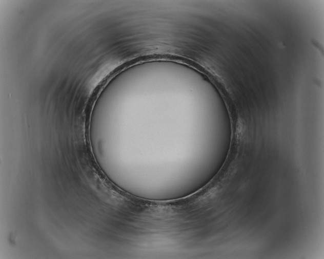 X0000103910877200809191300