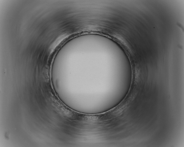 X0000103910878200809191300