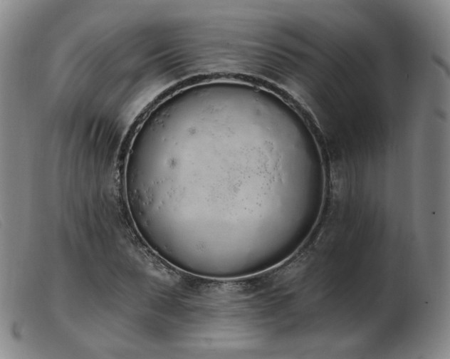 X0000103910879200809191300