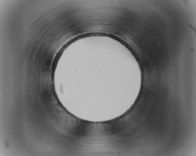 X0000103910880200809191300