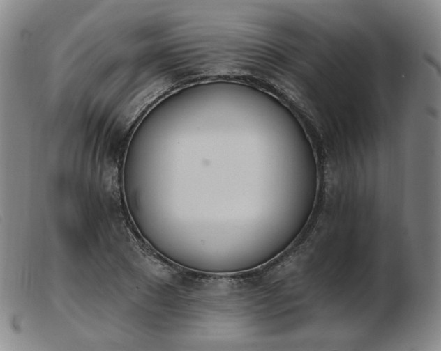 X0000103910881200809191300