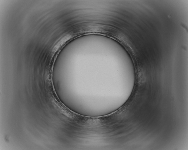 X0000103910882200809191300