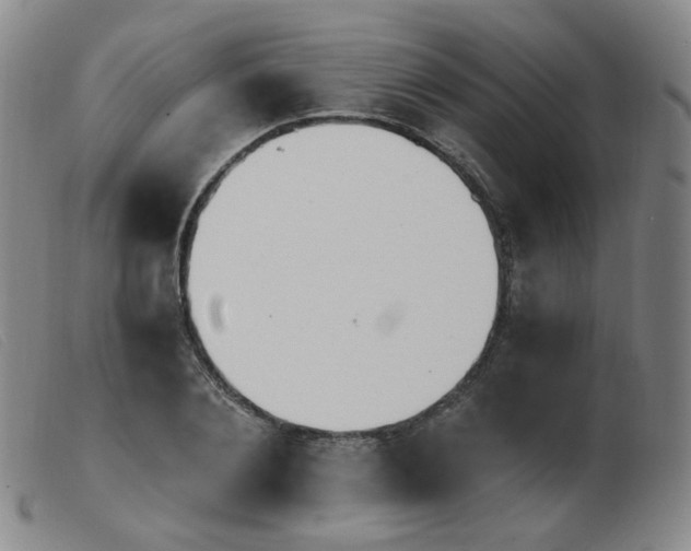 X0000103910884200809191300