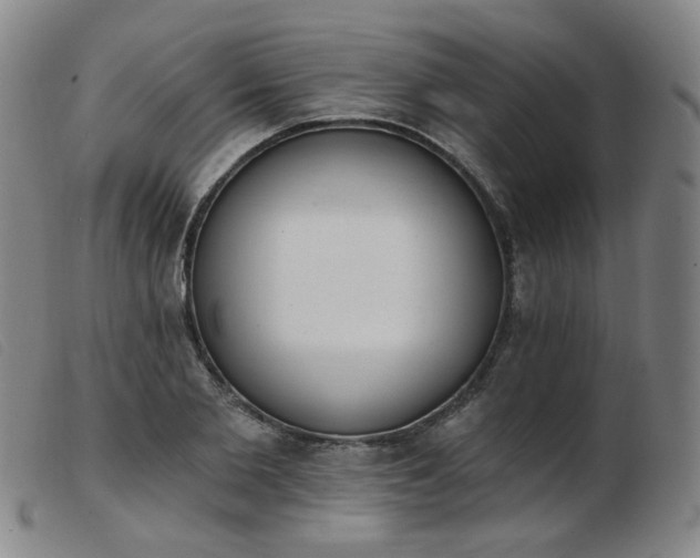 X0000103910885200809191300