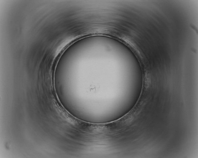 X0000103910886200809191300