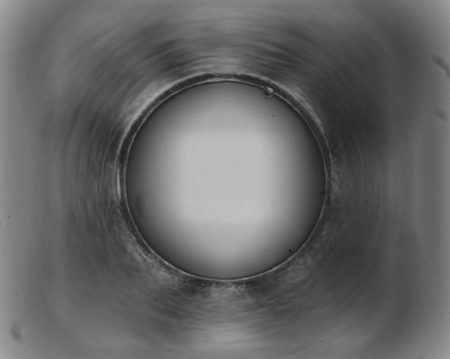 X0000103910887200809191259
