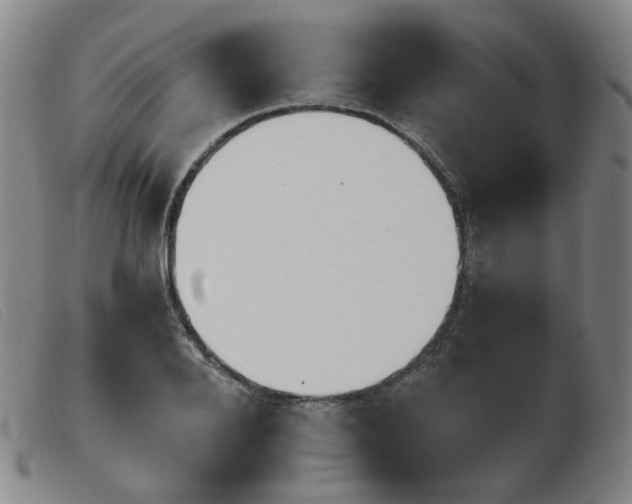 X0000103910888200809191259