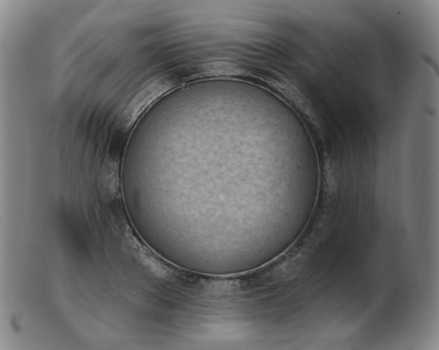 X0000103910889200809191259