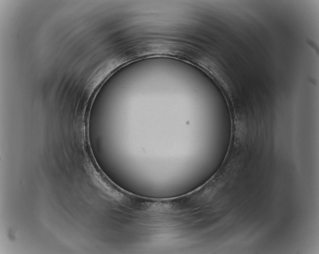 X0000103910890200809191259