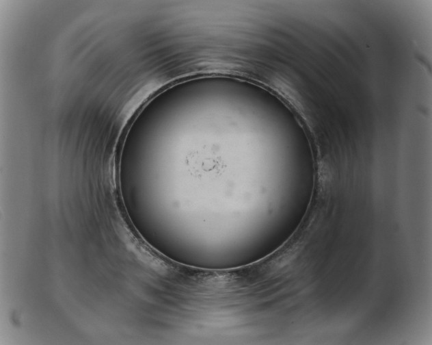 X0000103910891200809191259