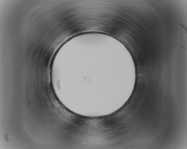 X0000103910892200809191259