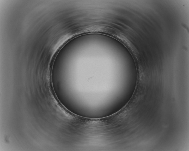 X0000103910894200809191259