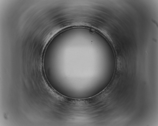 X0000103910895200809191259
