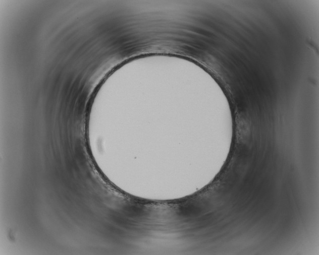 X0000103910896200809191259