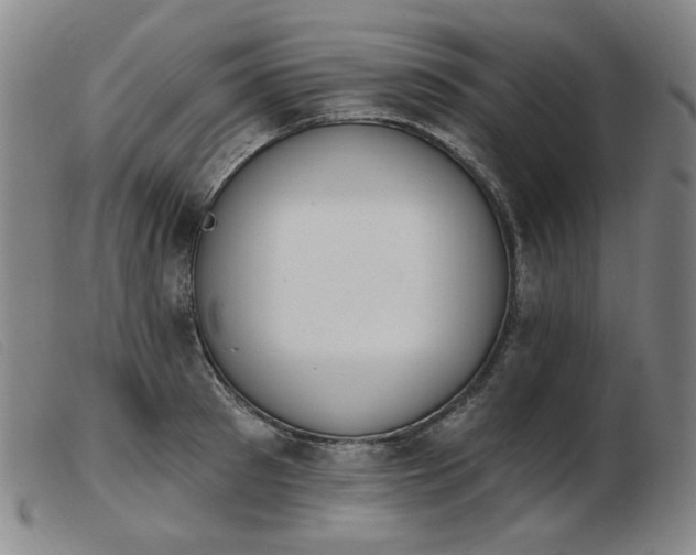 X0000103910897200809191259