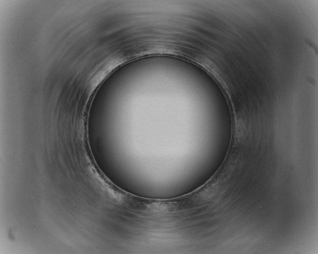 X0000103910898200809191259