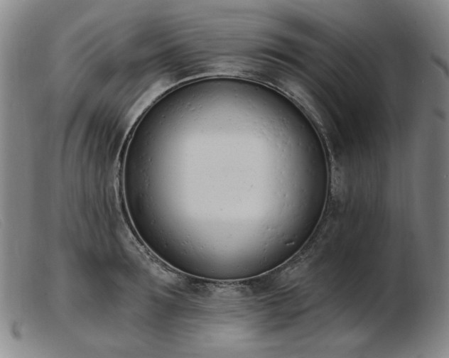 X0000103910899200809191259