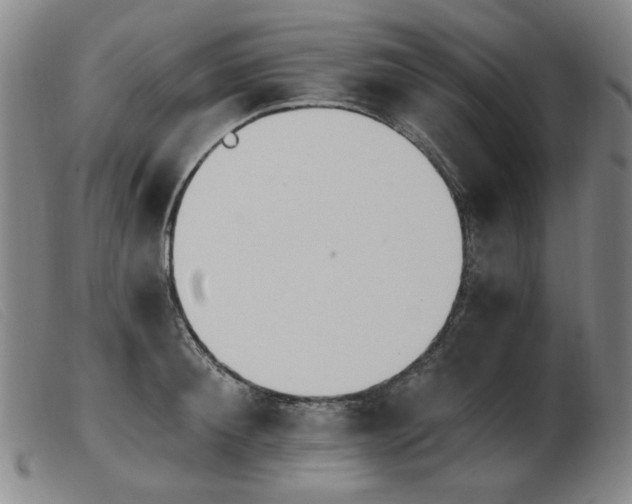 X0000103910900200809191259