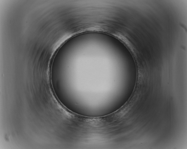 X0000103910902200809191259