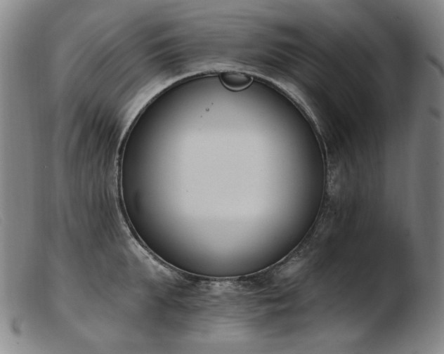 X0000103910903200809191259