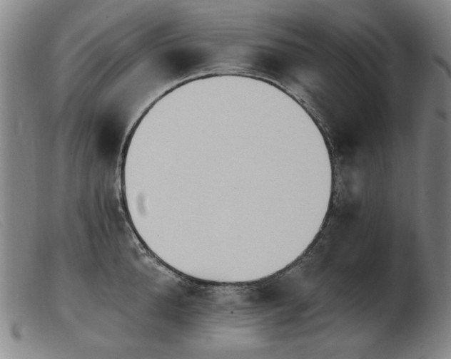 X0000103910904200809191259