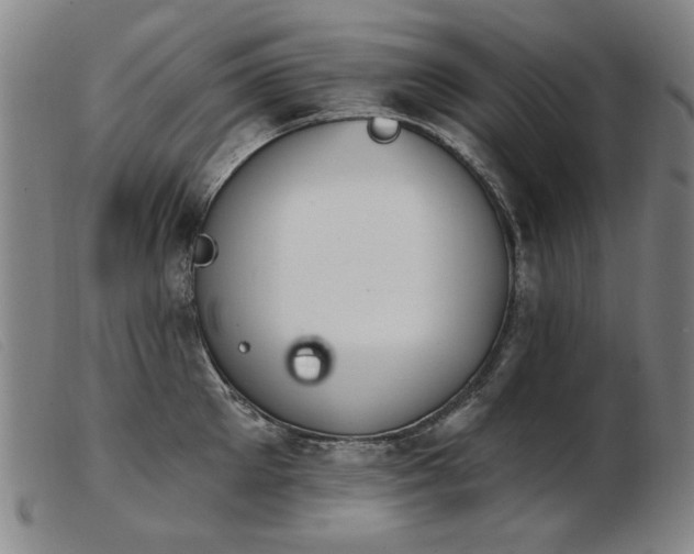 X0000103910905200809191259