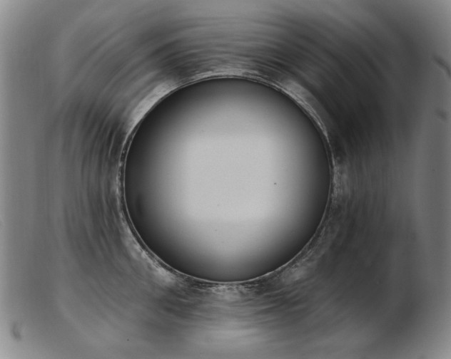 X0000103910906200809191259