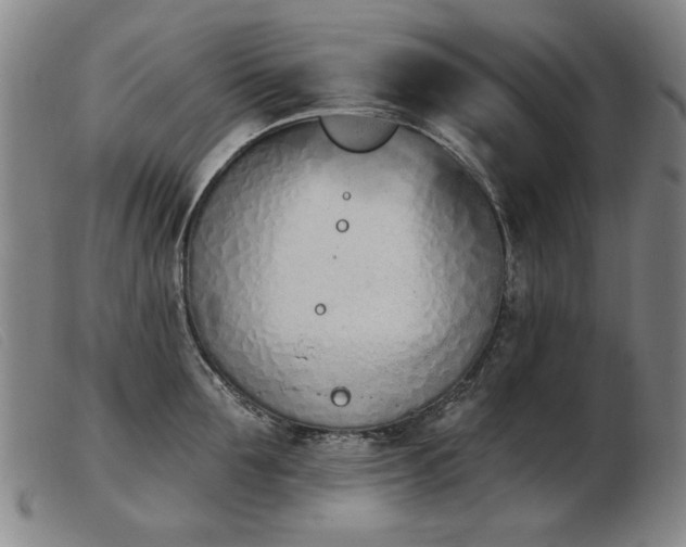 X0000103910907200809191259