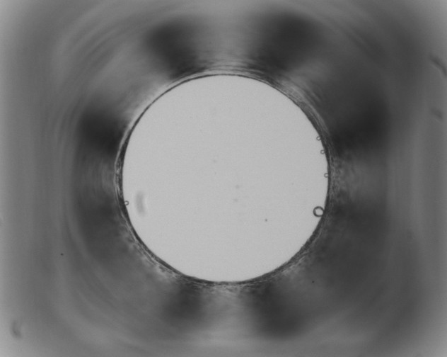 X0000103910908200809191259
