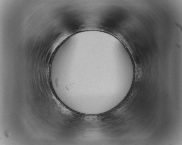X0000103910909200809191259