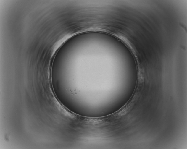 X0000103910910200809191259