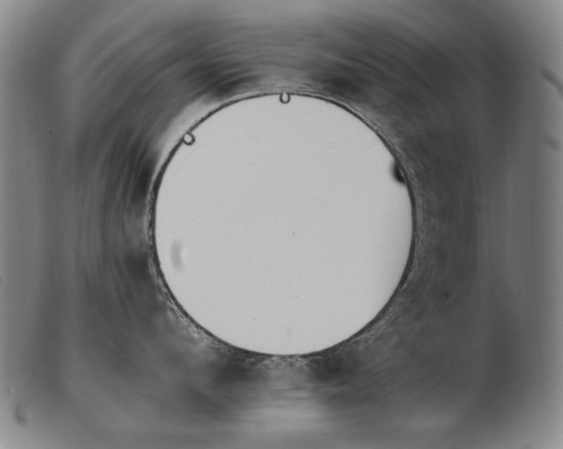 X0000103910912200809191259