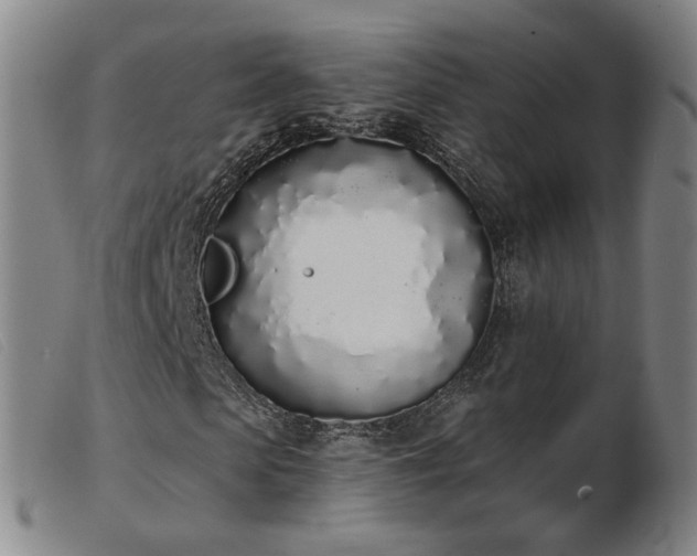 X0000103910913200809191258