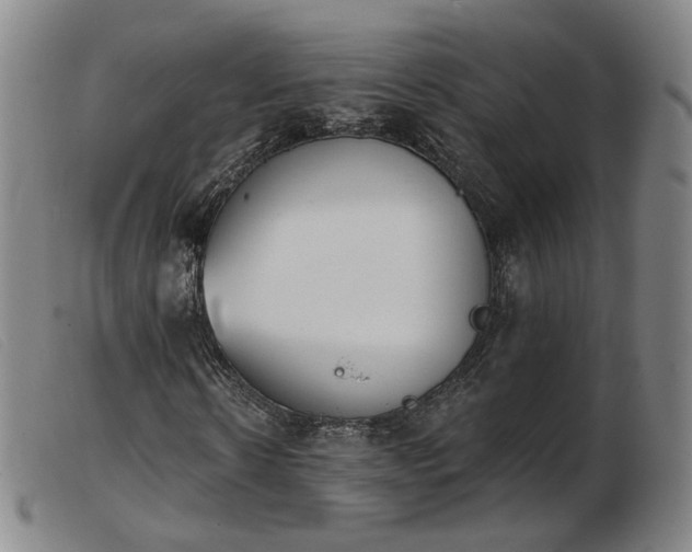 X0000103910914200809191258