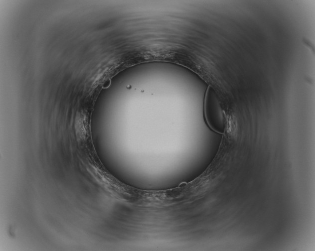 X0000103910915200809191258
