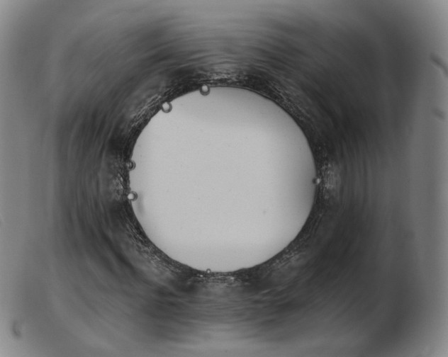 X0000103910916200809191258