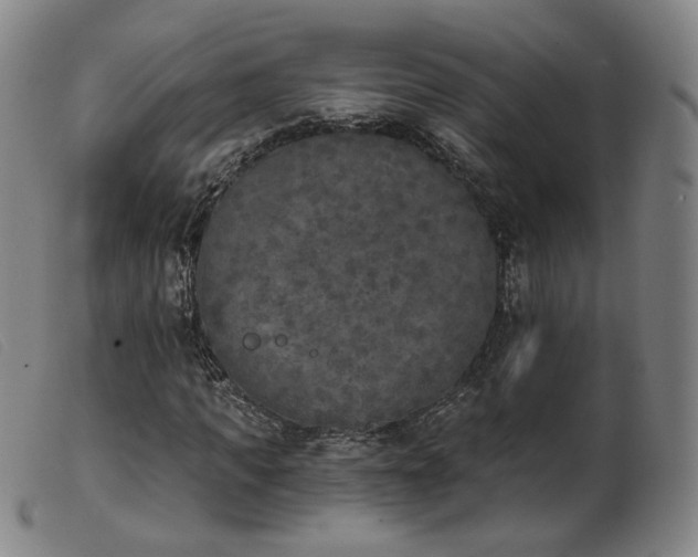 X0000103910917200809191258