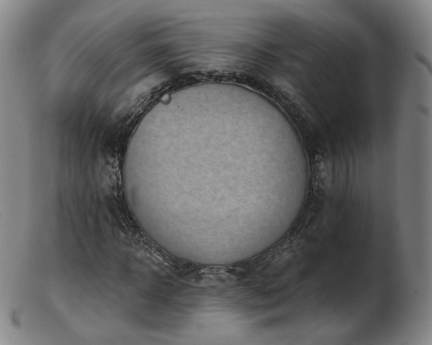 X0000103910918200809191258