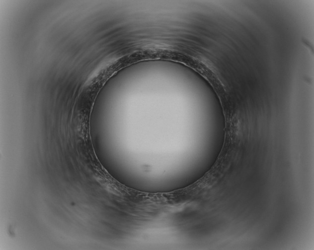 X0000103910919200809191258