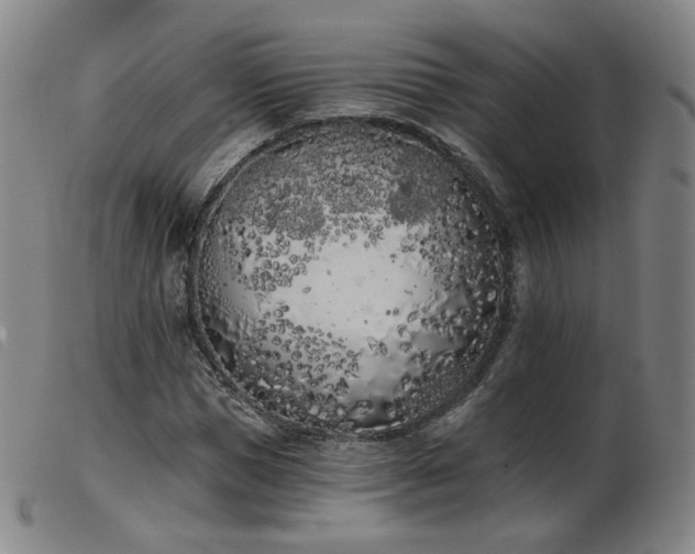 X0000103910921200809191258