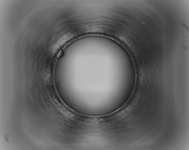 X0000103910922200809191258