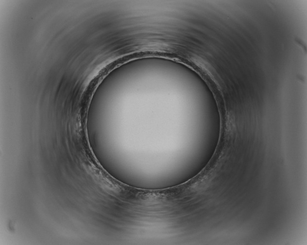 X0000103910923200809191258
